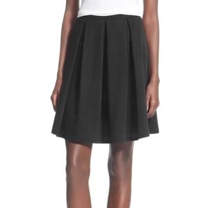 Painted threads pleated a-line skirt